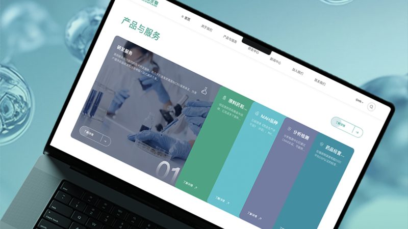 门户网站项目工期估算：关键因素与合理预期